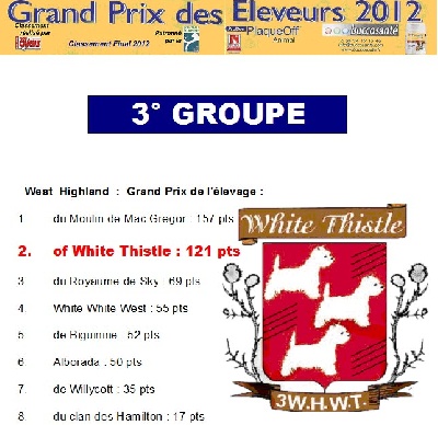 of White Thistle - Grand Prix des Eleveurs 2012