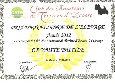 of White Thistle - Prix d'Excellence de l' Elevage 2012