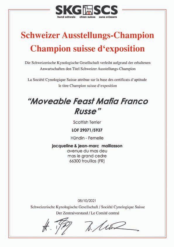 CH. moveable feast Mafia franco russe