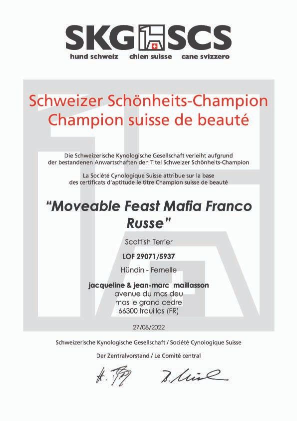 CH. moveable feast Mafia franco russe