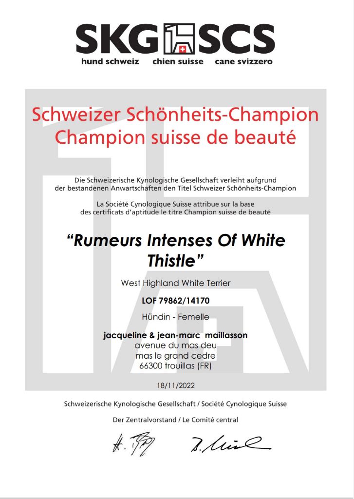 CH. Rumeurs intenses of White Thistle
