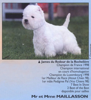 CH. James Du redour de la rochelière