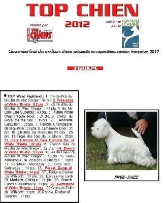of White Thistle - Notre Champion Free-Jazz Of White Thistle 2éme Top West Highland 2012