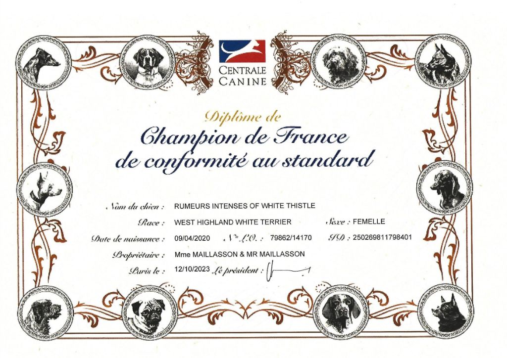 of White Thistle - Championne De France 2023
